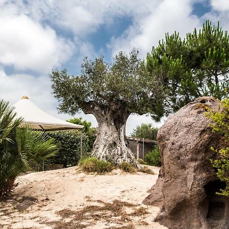 B&B Il Cenerino SantʼAntìoco Dış mekan fotoğraf