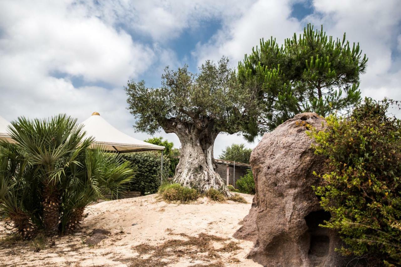 B&B Il Cenerino SantʼAntìoco Dış mekan fotoğraf